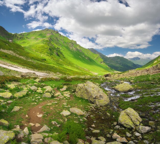 Reiver in mountain valley