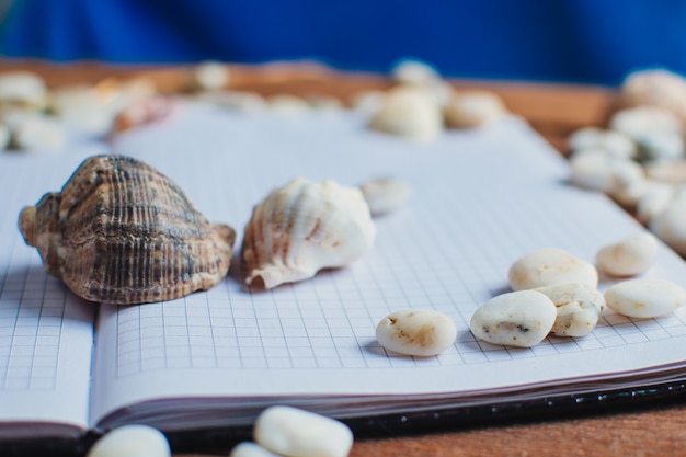 Reizen en vrije tijd, op een houten tafel ligt een notitieboekje naast verspreide schelpen