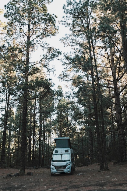 Reizen en vrijheid levensstijl vanlife met modern busje geparkeerd in het bospark in de buitenlucht Camping auto vanlife Camping in het bos met hoge bomen eromheen Concept van avontuur