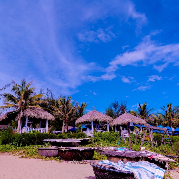 Foto reizen mode concept. vietnam. locatie strand palm