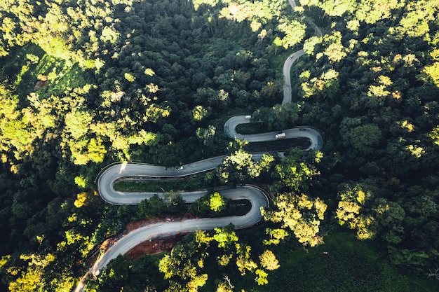 Reizen op kronkelende bergweg Luchtfoto van kronkelende weg te midden van bomen