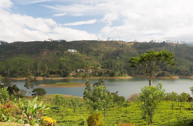 reizen, toerisme, natuur en landschapsconcept - uitzicht op meer of rivier vanaf landheuvels op Sri Lanka