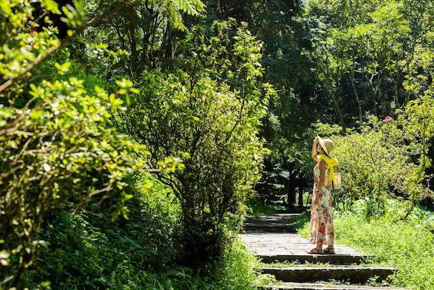 Reizende aziatische vrouw wandelen in het bos bij xitou, nantou, taiwan