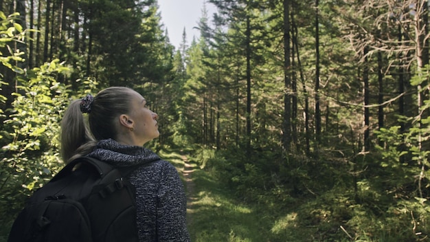 Reiziger die schilderachtig uitzicht in het bos fotografeert Een blanke vrouw die mooie magische blik schiet Meisje neemt foto video op dslr spiegelloze camera Professionele fotograaf reizen met rugzak Buiten