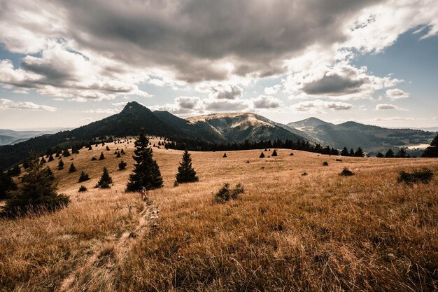 Reiziger wandelgroep met rugzakken Wandelen in de bergen Zonnig landschap Toeristenreiziger Velka Fatra nationaal park Slowakije