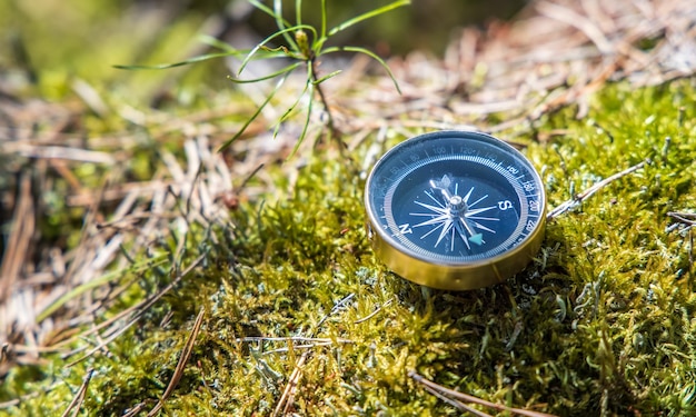 Reizigerskompas op het gras in het bos