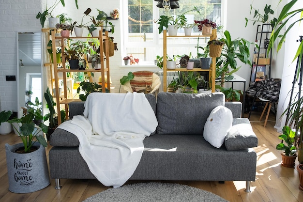 Rekken met een groep kamerplanten in de binnenkamer witte zolder grijze bank gezellig geruit tapijt Kamerplant Groeiende en verzorgende kamerplant groen huis