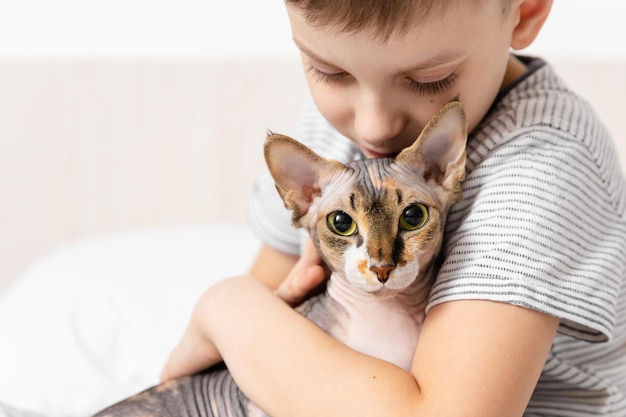 Relatie kat en mens Vriendschap met huisdier Kid knuffel met grijze Canadese sphynx kat op bed Emotionele ondersteuning dier Indoor activiteit