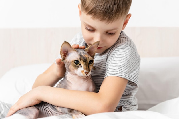 Relationship cat and human friendship with pet kid hug with
gray canadian sphynx cat on bed emotional support animal indoor
activity