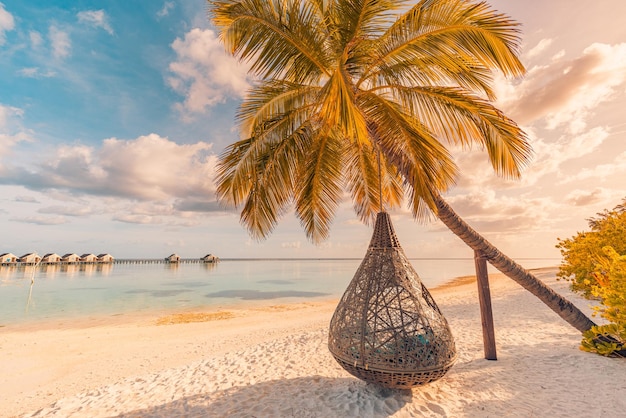 Relax vacation leisure lifestyle on exotic tropical island beach, palm tree hammock hanging calm sea