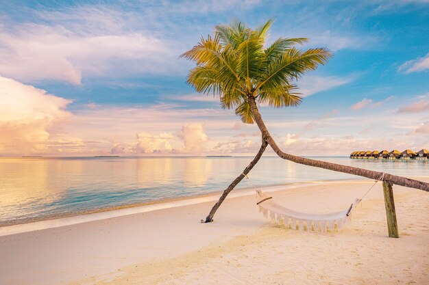 Relax vacation leisure lifestyle on exotic tropical island beach palm tree hammock hanging calm sea