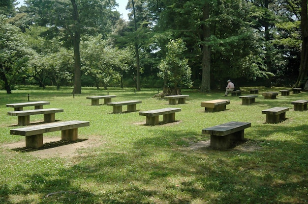 A relaxing japanese park with stone benches