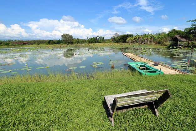 Relaxing people who sit and see the view in front of the big lake