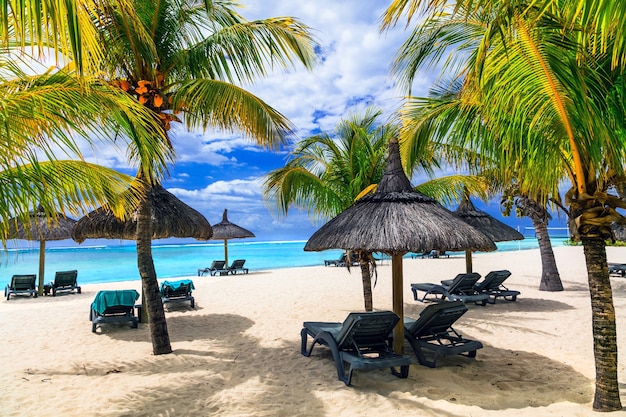 Relaxing tropical holidays in exotic paradise -Mauritius island