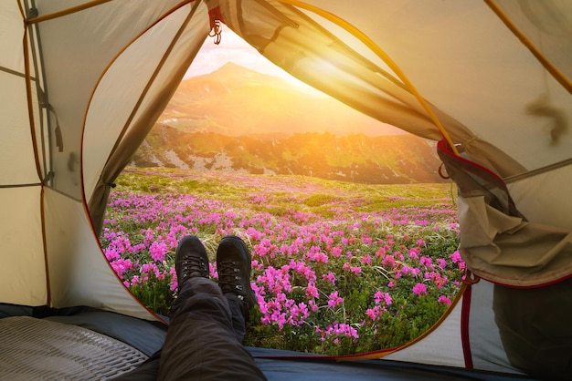 Relaxing with a tent in a summer mountain camp