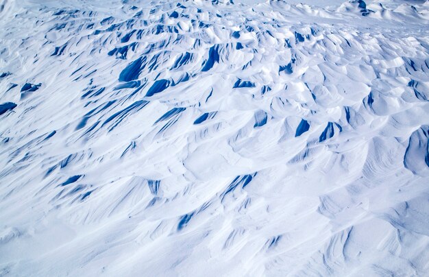 Sollievo sul manto nevoso dopo una bufera di neve