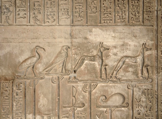 relief at the Temple of Kom Ombo