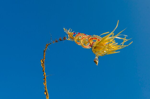 Religious tree Balinese