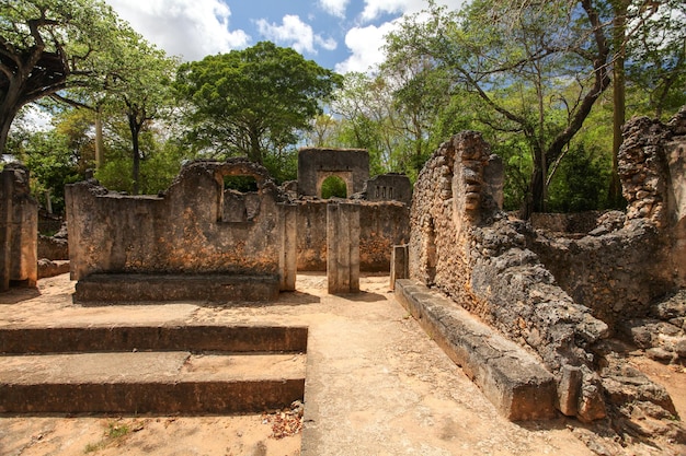 Remains of ancient african city Gede (Gedi) in Watamu, Kenya with trees and sky in background.