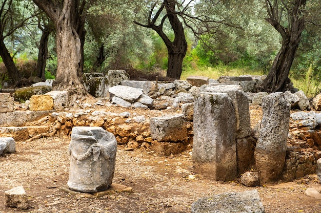 セディール島の古代カリアンの都市の遺跡。トルコ、ムーラ