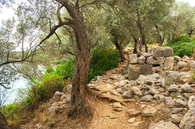 セディール島の古代カリアンの都市の遺跡。トルコ、ムーラ