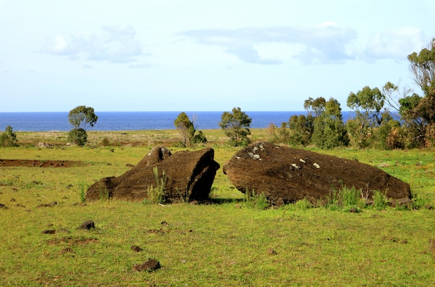 イースター島、チリのラノララク火山のふもとに地面に横たわっているモアイ像の遺跡
