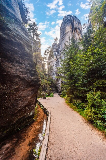 照片的岩城adrspach岩石中adrspachteplice景观公园的一部分在捷克波西米亚broumov高地地区的捷克山区