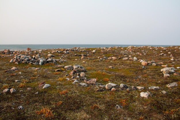 Arviat 북쪽의 Qikiqtarjuq에 있는 Hudson Bay 해안을 따라 여러 개의 이누이트 텐트 고리가 남아 있습니다.