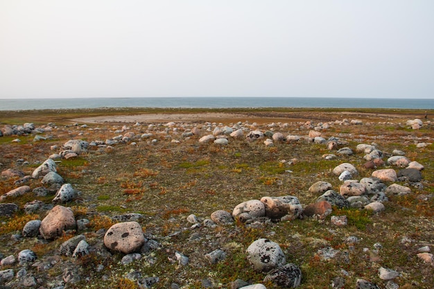 Remains of several Inuit tent rings along the coast of Hudson Bay at Qikiqtarjuq, north of Arviat