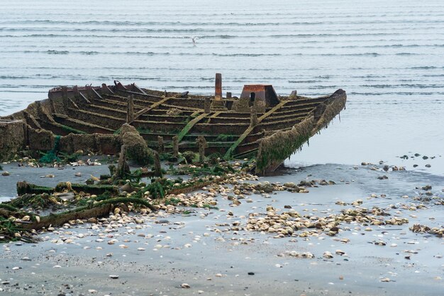 Remains of a wrecked ship on a foggy seashore