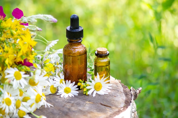 Remedy St. John's wort and chamomile flower in a glass bottle close-up horizontal. Nature. Selective focus.