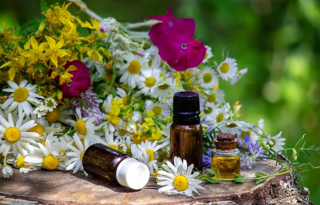 Remedy St. John's wort and chamomile flower in a glass bottle close-up horizontal. Nature. Selective focus.