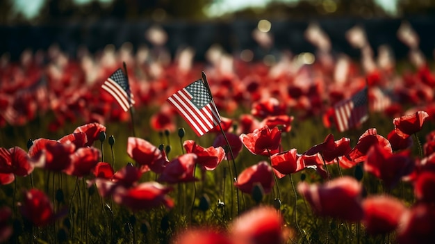 Photo remembrance day poppy red poppies