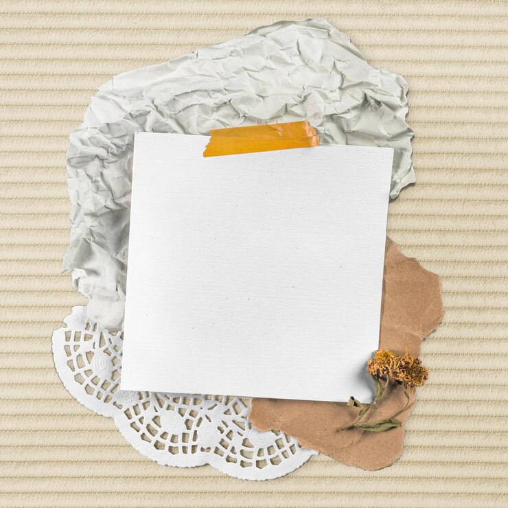 Photo 상기 메모 png 모 식물 디자인 투명한 배경