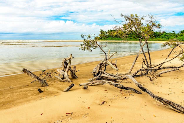 remote beautiful beach surrounded by maggroves in serra grande on the south coast of bahia
