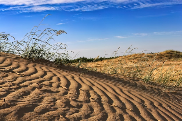 Remote desert landscape with sparse vegetation and white clouds