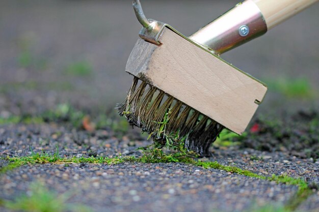 Photo remove moss and weeds from the pavement with the wire brush on a stick