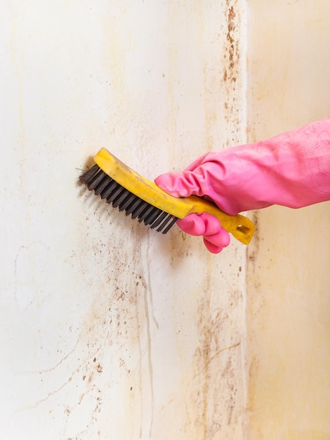 Photo removing of mold from room wall with brush