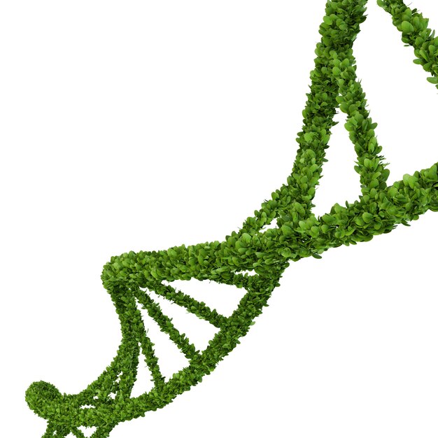 Render DNA in grass design