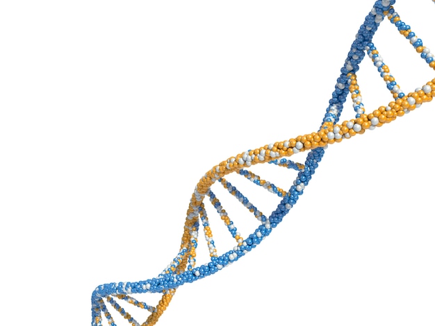 Render DNA-moleculen