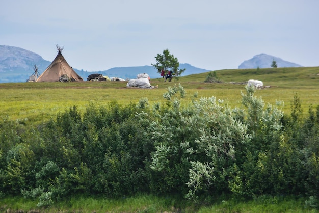 Rendierherders kamperen in het Polar Oeral-natuurpark