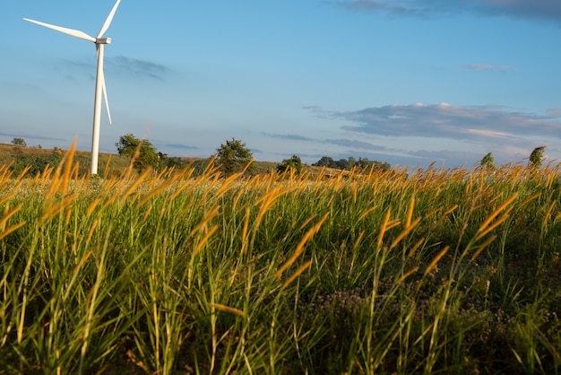Renewable energy with wind turbines