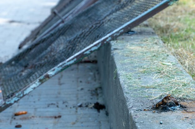 Photo repair of the fence on the city street along the sidewalk parts of an old metal fence are lying on the sidewalk during repair work replacement of the fencing of the school grounds