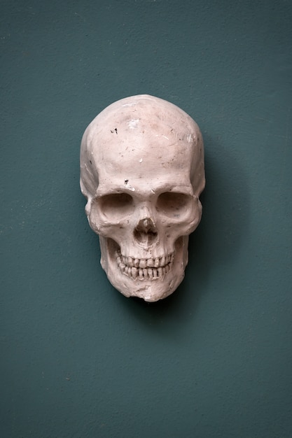 Photo replica of a human skull hanging on a teal colored wall conceptual of halloween, death and morbidity