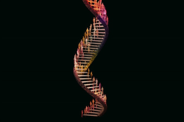 Representation of human dna chain