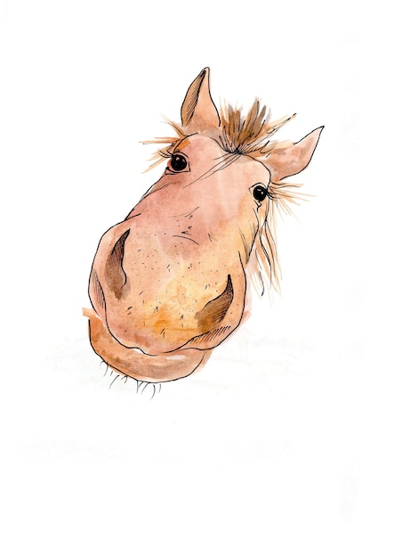 Photo reproduction watercolor head funny horse