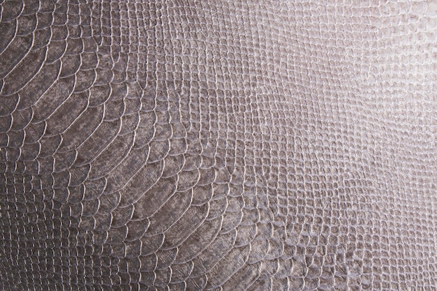 Reptile skin a crocodile or snake