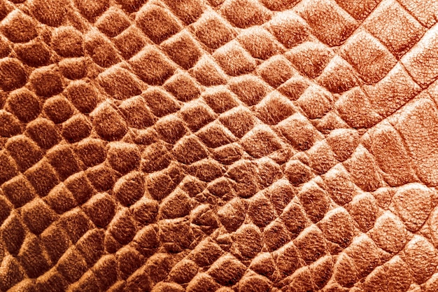 Текстура кожи рептилии змея или крокодил