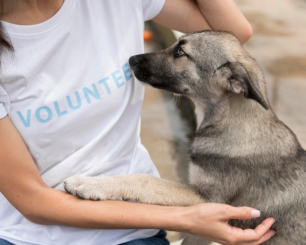 Foto cane da salvataggio che vuole affetto da una donna al rifugio