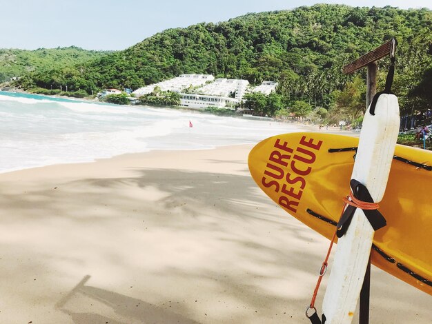 Foto tabella di salvataggio sulla spiaggia contro gli alberi